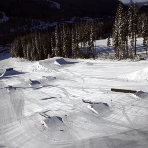 The Intermediate Park