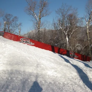 Down rail on Tyro