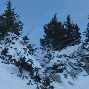 Snowbird cliff