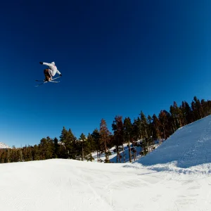 Bluebird in Keystone