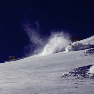 TERRIBLE JUST TERRIBLE