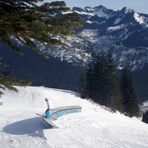 C-box from the Forest