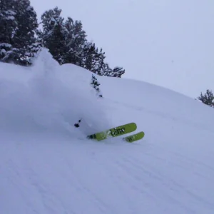 More Wasatch Pow