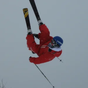 Laurent burn the park