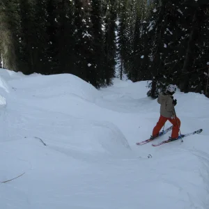 The trail leaving the backside of revelstoke