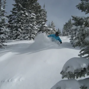 SHREDDDIIIIINNNNGGGGG