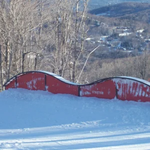 Rail garden roller coaster