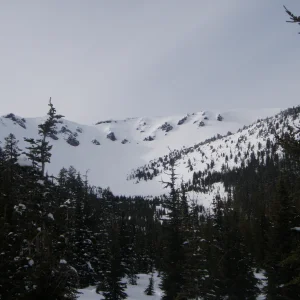 Look what we got to ski