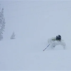 Alta Powder Feb 18, 2009