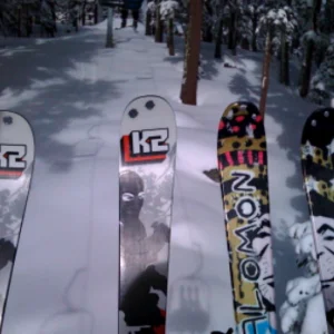 The  Skis