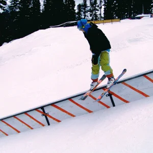 Whistler