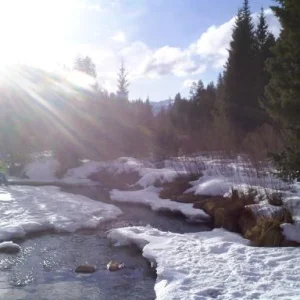 Snake river keystone