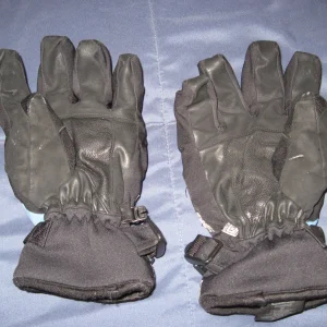 Gloves1