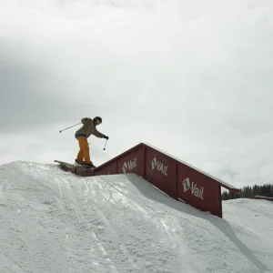 Dfd 1