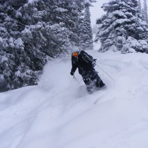 Targhee powder