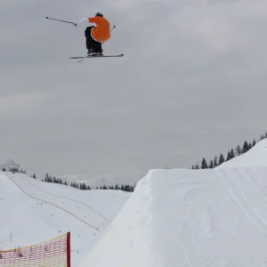 Dont know if this was a 900 or 1080 mute