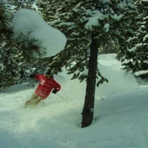 Shreddin some pow