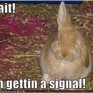 Gettin a signal