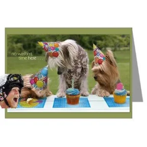 Happy B-day to Photoshop  thread