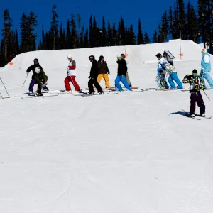 Shredicate mon ... Shredicate