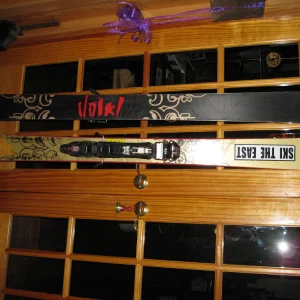 Volkl Gotoma skis