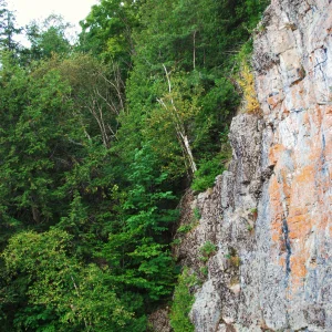 90 foot cliff misty 5