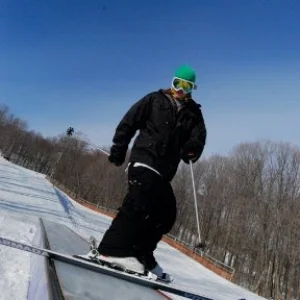 Steez