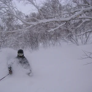 Cruising japanese pow