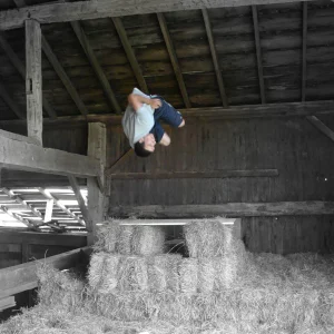 Goin Big in the Hay