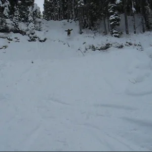 Maybe like 15 feet...maybe