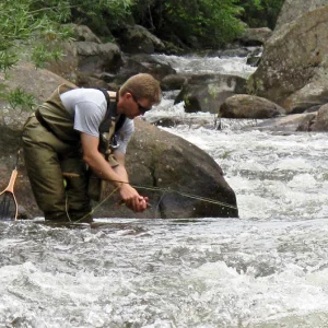 Fly Fishing on the St. Vrain