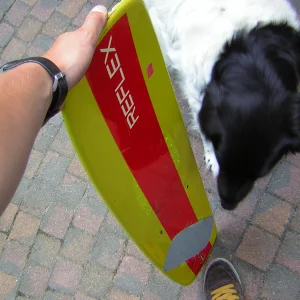 Wakeboard -> longboard