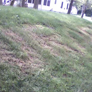 Another crappy view of my Submission for the Orage Contest