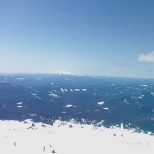 The view out from Palmer