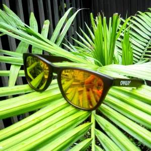 Frogskins for sale
