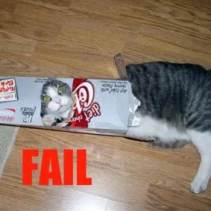 Fail