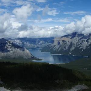 Rocks trees and water!