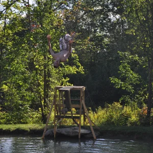 Finished the Diving Board