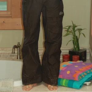 North face pant
