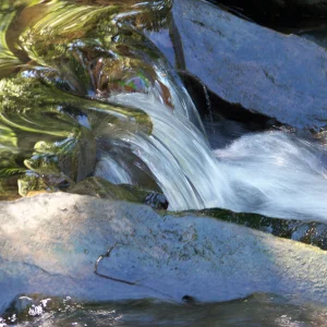 Creek Waterfall