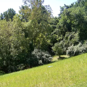 Future slope