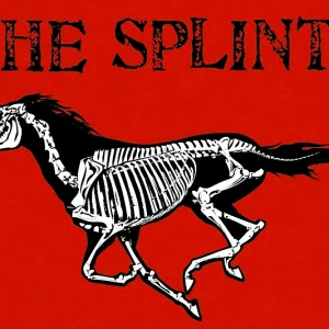 The Splints