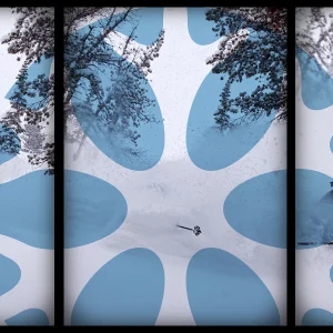 The 2010 Cold Smoke Awards