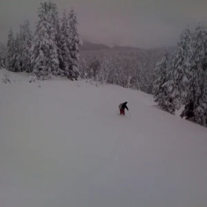 Nixon paul ridge nov 8 2009 shot 1