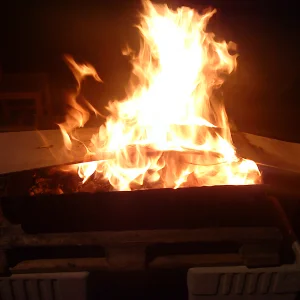 Even more dead snowboard