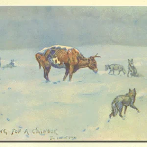 Waiting for Chinook, Last of 5000