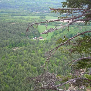 North conway countryside