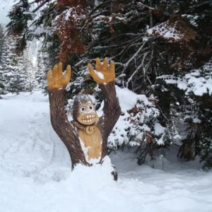 Monkey in the stash at northstar