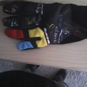 Dakine windells gloves. FS