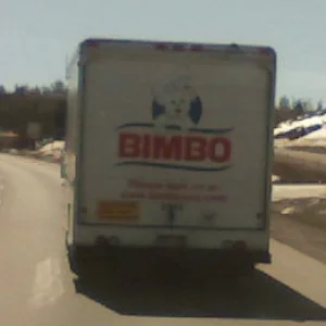 I could not believe my eyes.